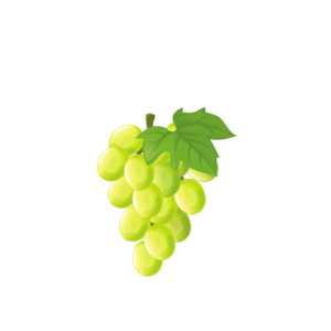 Hogy miért pont szőlő?