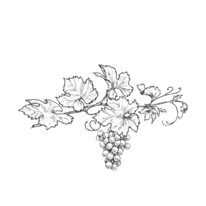 Ha azt akarod, hogy figyeljek rád